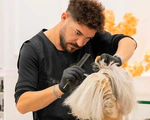 trabajo-peluquero-para-eventos trabajo peluquero para eventos